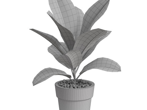 Plants collection 763 3D 模型
