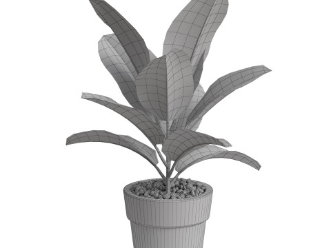 Plants collection 763 3D 模型