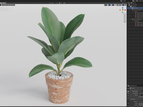 Plants collection 763 3D 模型