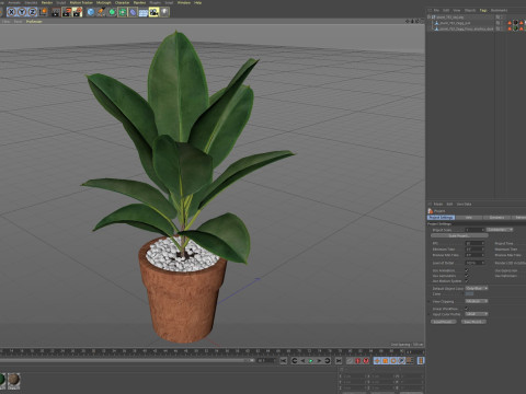Plants collection 763 3D 模型