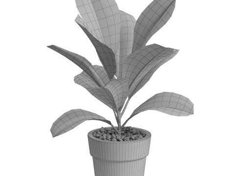 Plants collection 764 3D Модель