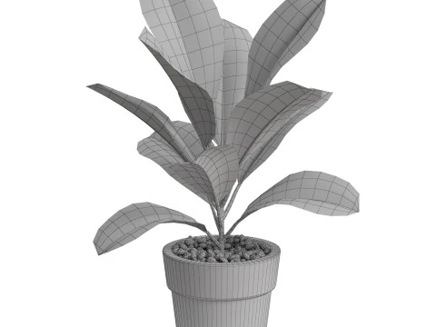 Plants collection 764 3D Model