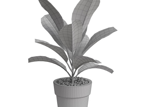 Plants collection 764 3D Модель