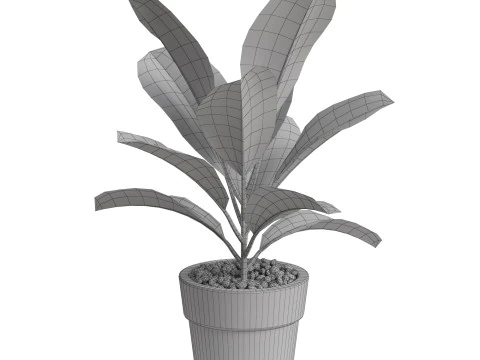 Plants collection 764 3D Model