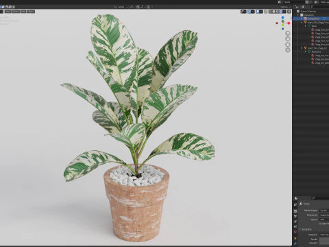 Plants collection 764 3D Model