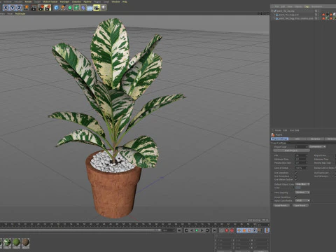 Plants collection 764 3D Model