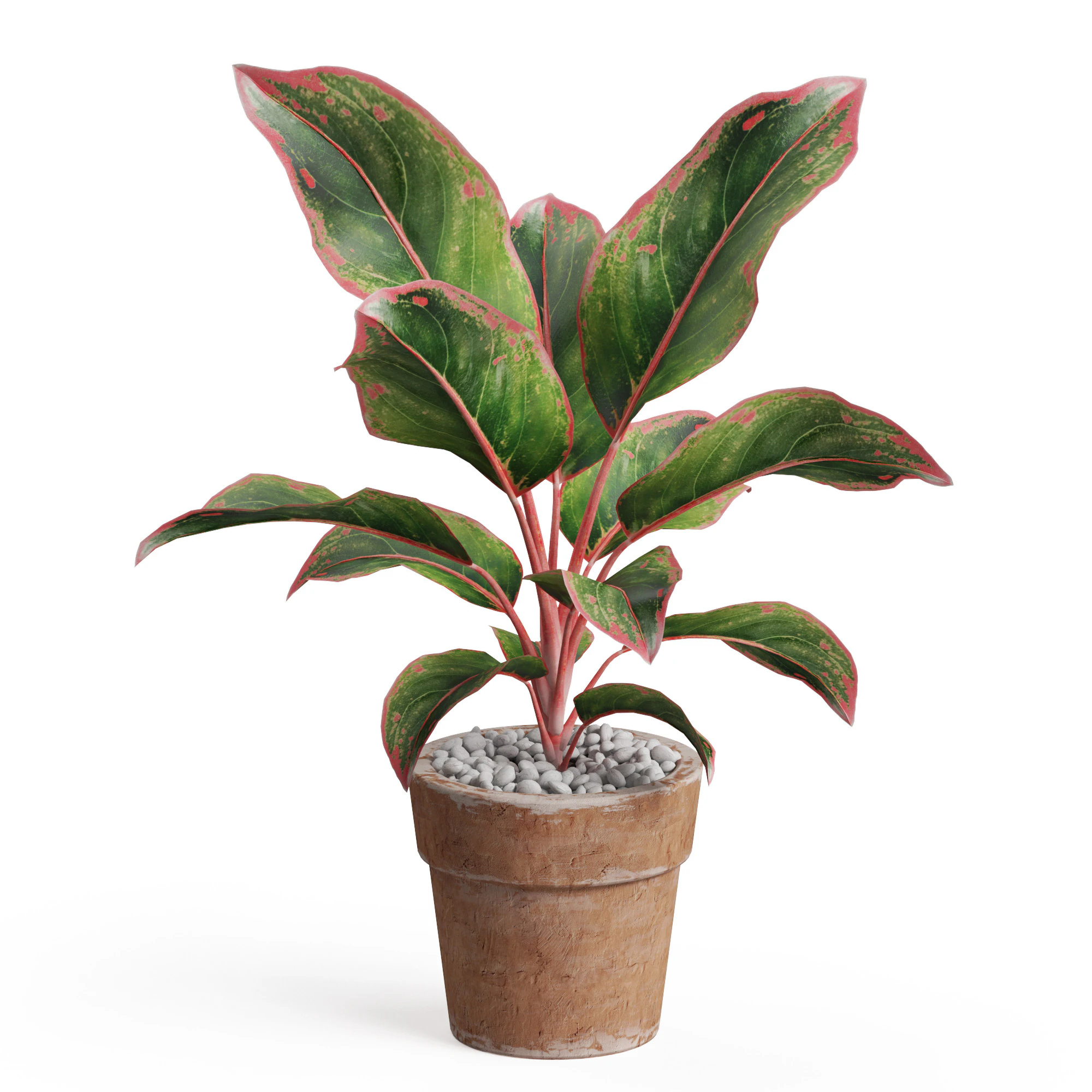 Plants collection 765 3D Model .c4d .max .obj .3ds .fbx .stl .blend 