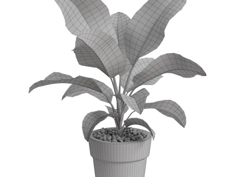 Plants collection 765 3D Model