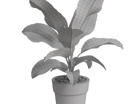 Plants collection 765 3D 모델
