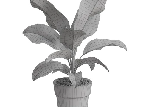Plants collection 765 3D Model