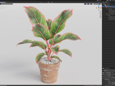 Plants collection 765 3D 모델