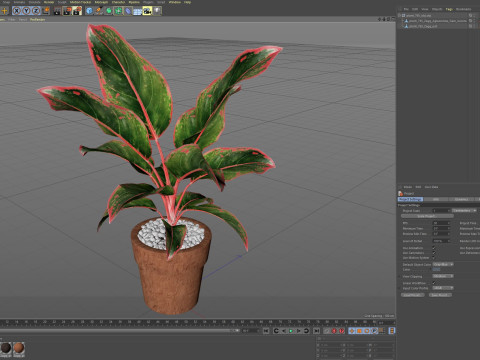Plants collection 765 3D 모델
