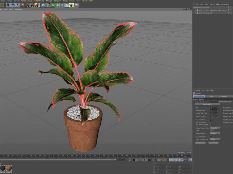 Plants collection 765 3D Model