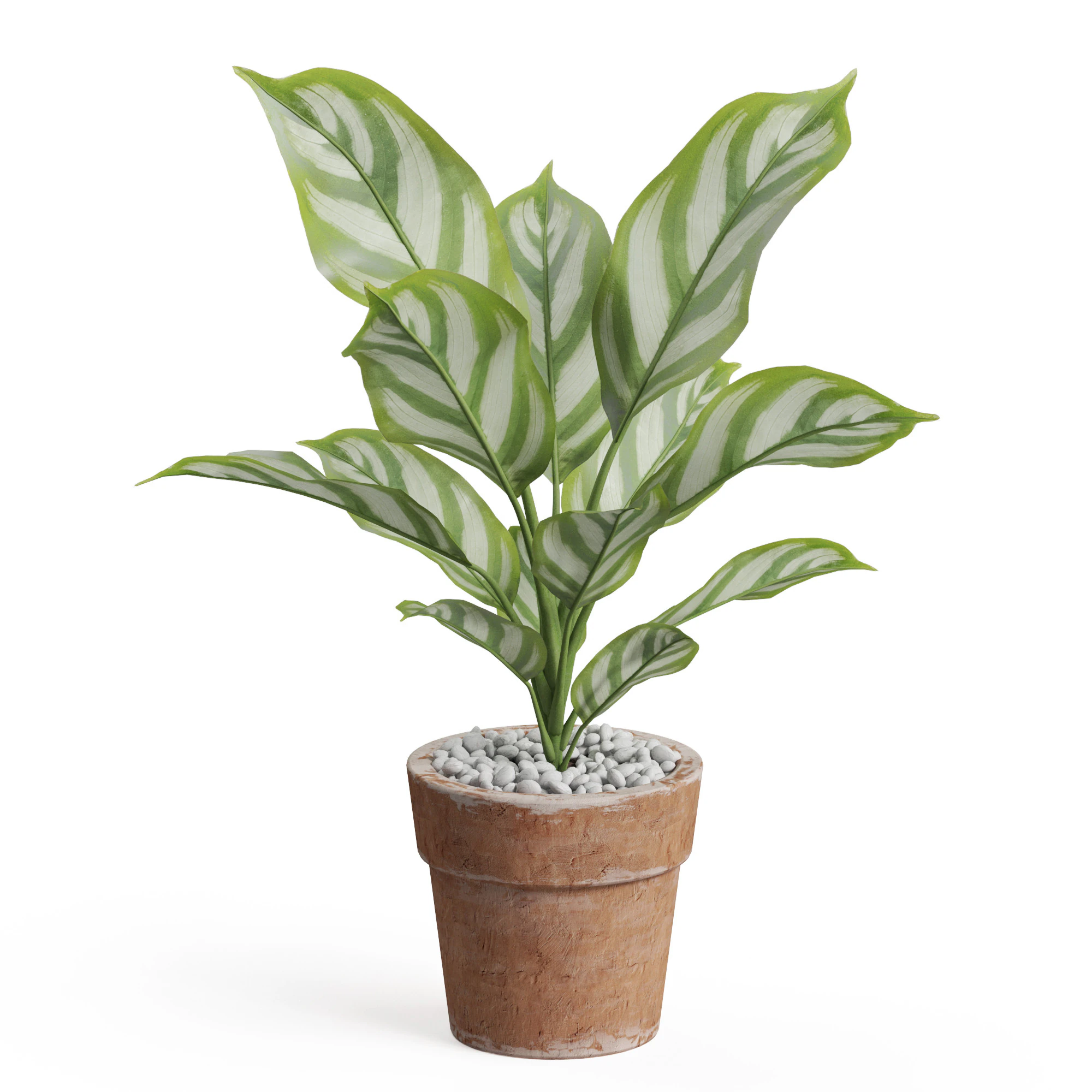 Plants collection 766 3D Model .c4d .max .obj .3ds .fbx .stl .blend 