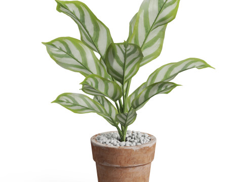 Plants collection 766 3D 模型
