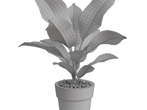Plants collection 766 3D 模型