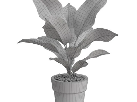 Plants collection 766 3D Model