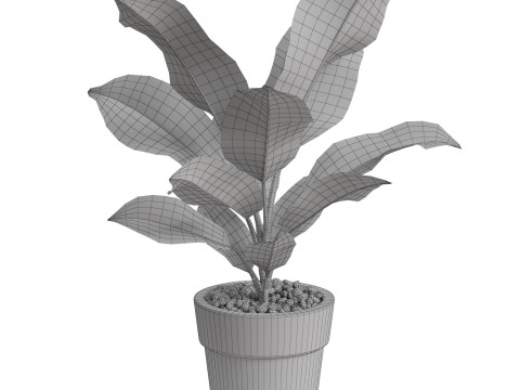 Plants collection 766 3D 模型