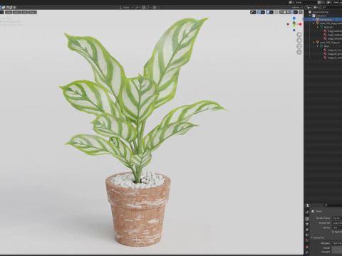 Plants collection 766 3D Model