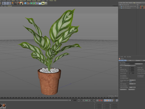 Plants collection 766 3D 模型