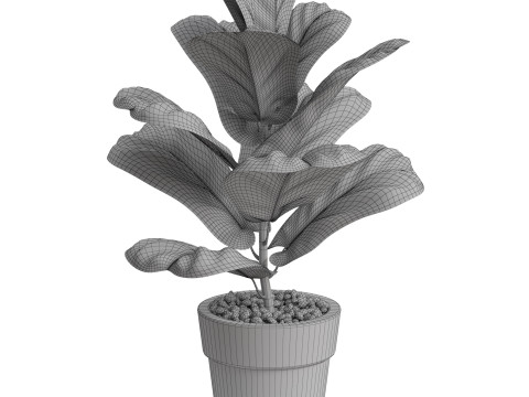 Plants collection 767 3D मॉडल