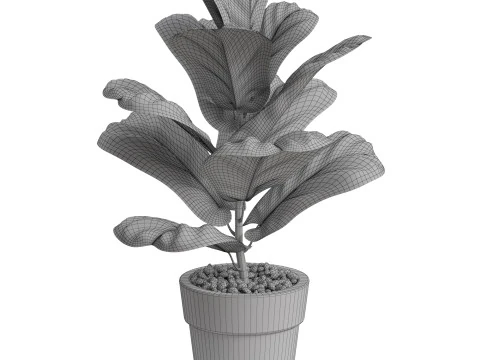 Plants collection 767 3D Model