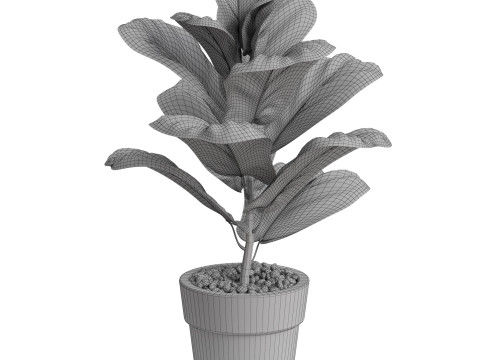 Plants collection 767 3D मॉडल