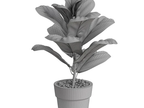Plants collection 767 3D Model