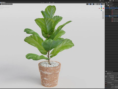 Plants collection 767 3D Model