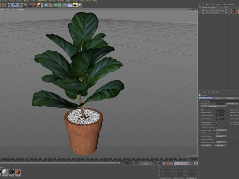 Plants collection 767 3D मॉडल