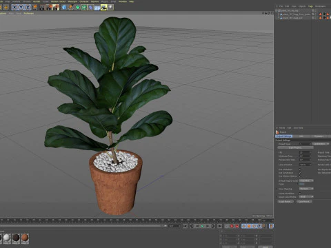 Plants collection 767 3D Model