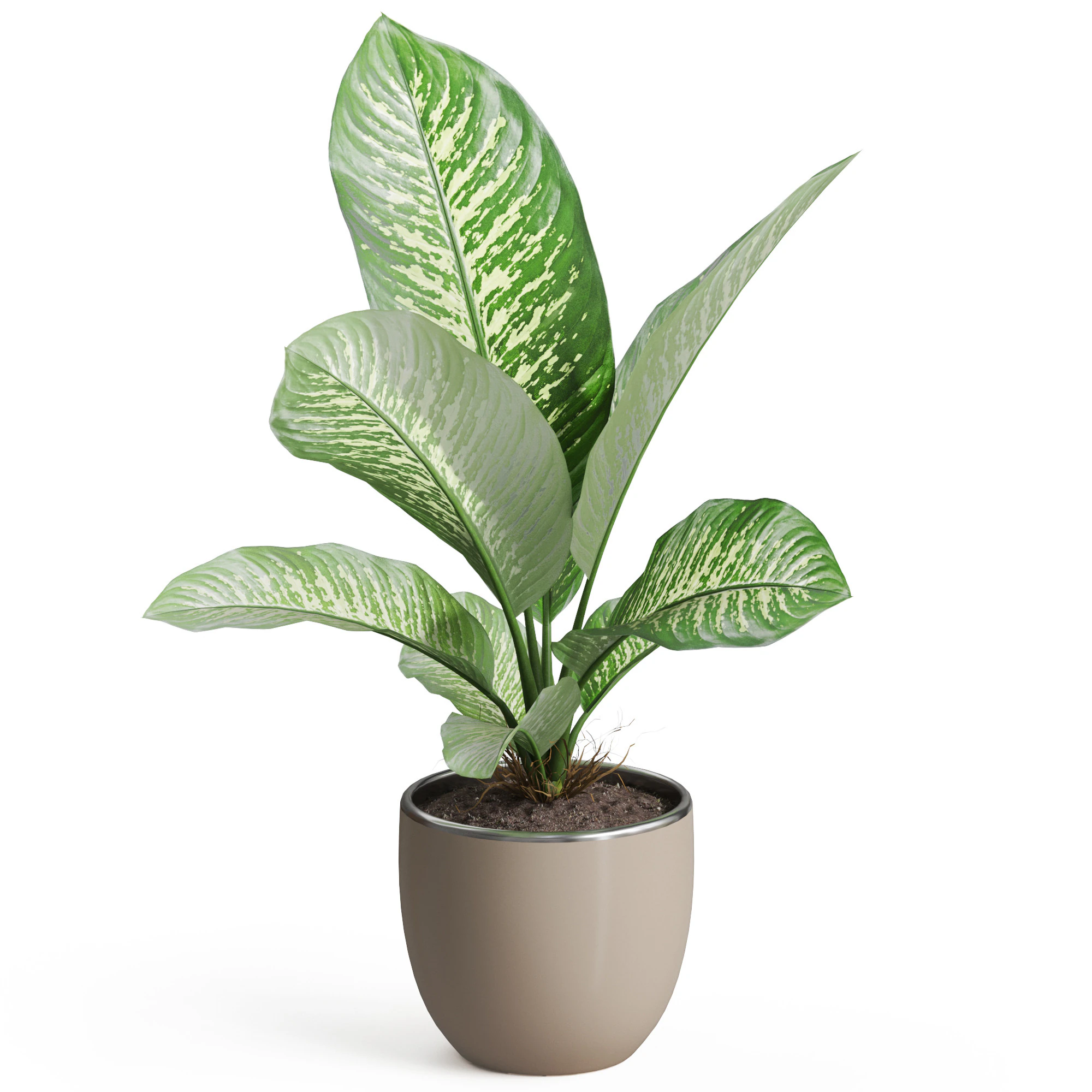 Plants collection 768 3D Model .c4d .max .obj .3ds .fbx .stl .blend 