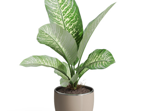 Plants collection 768 3D 모델