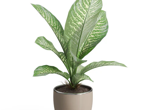 Plants collection 768 3D Model