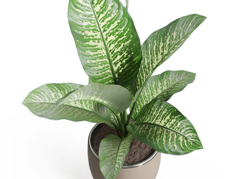Plants collection 768 3D Model