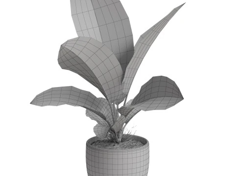 Plants collection 768 3D Model