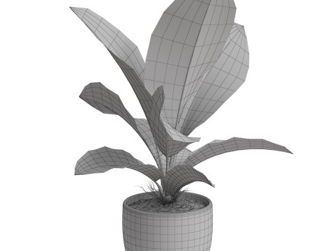 Plants collection 768 3D 模型