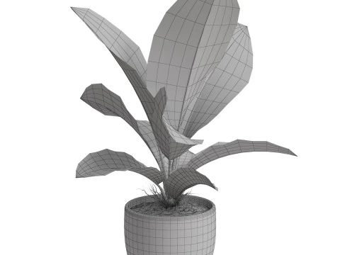 Plants collection 768 3D Model