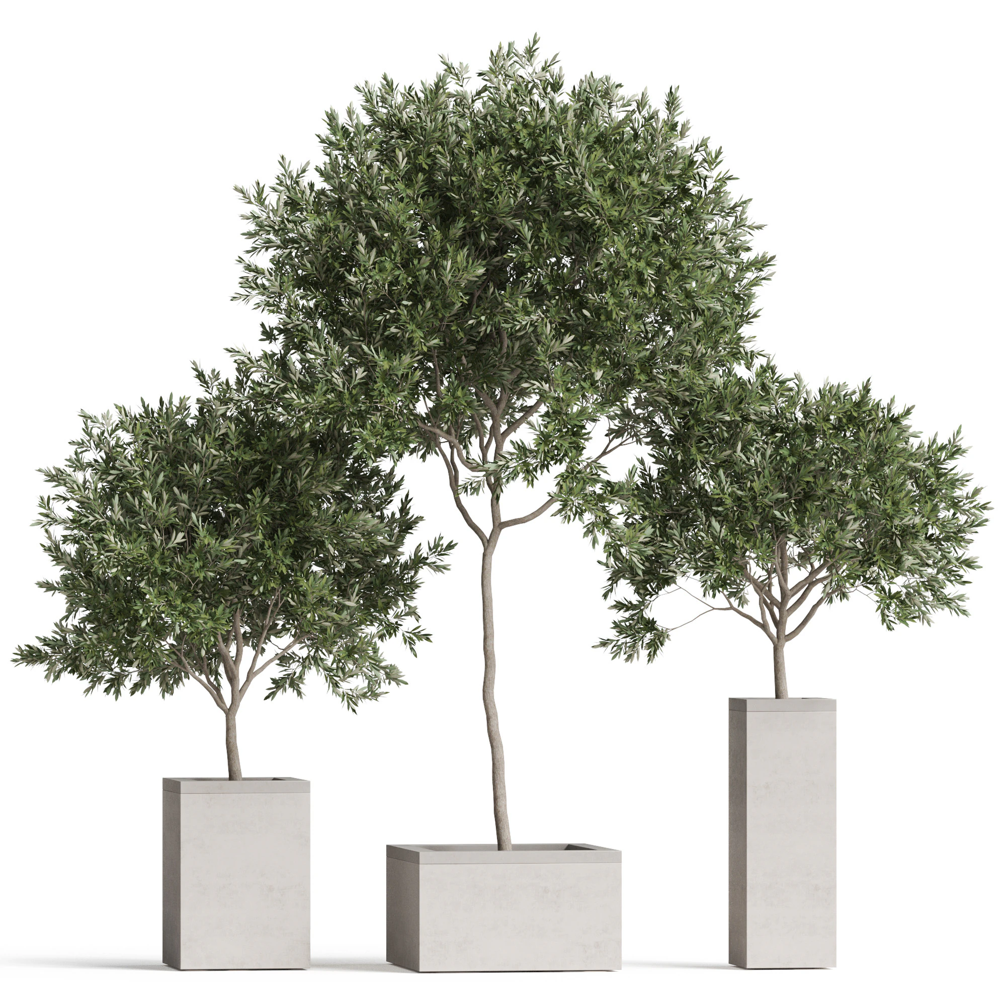 Plants collection 769 3D Model .c4d .max .obj .3ds .fbx .stl .blend 