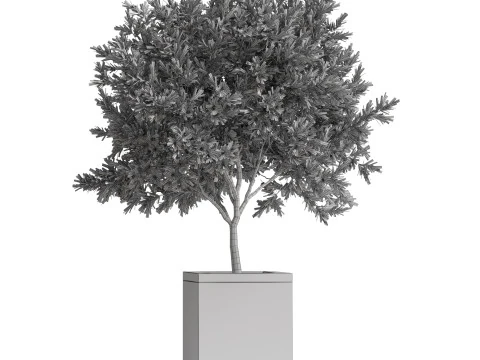 Plants collection 769 3D Model