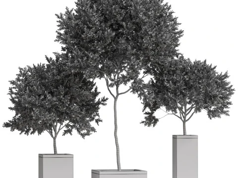Plants collection 769 3D Model