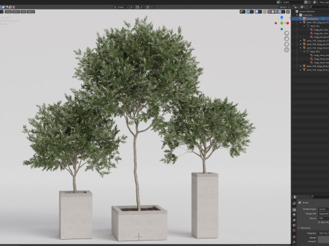 Plants collection 769 3D Model
