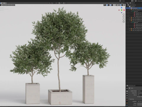 Plants collection 769 3D Model