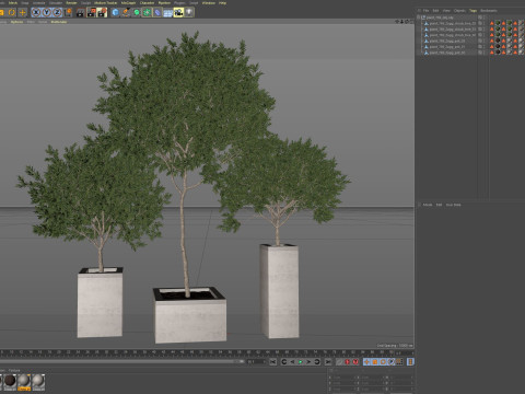 Plants collection 769 3D Model