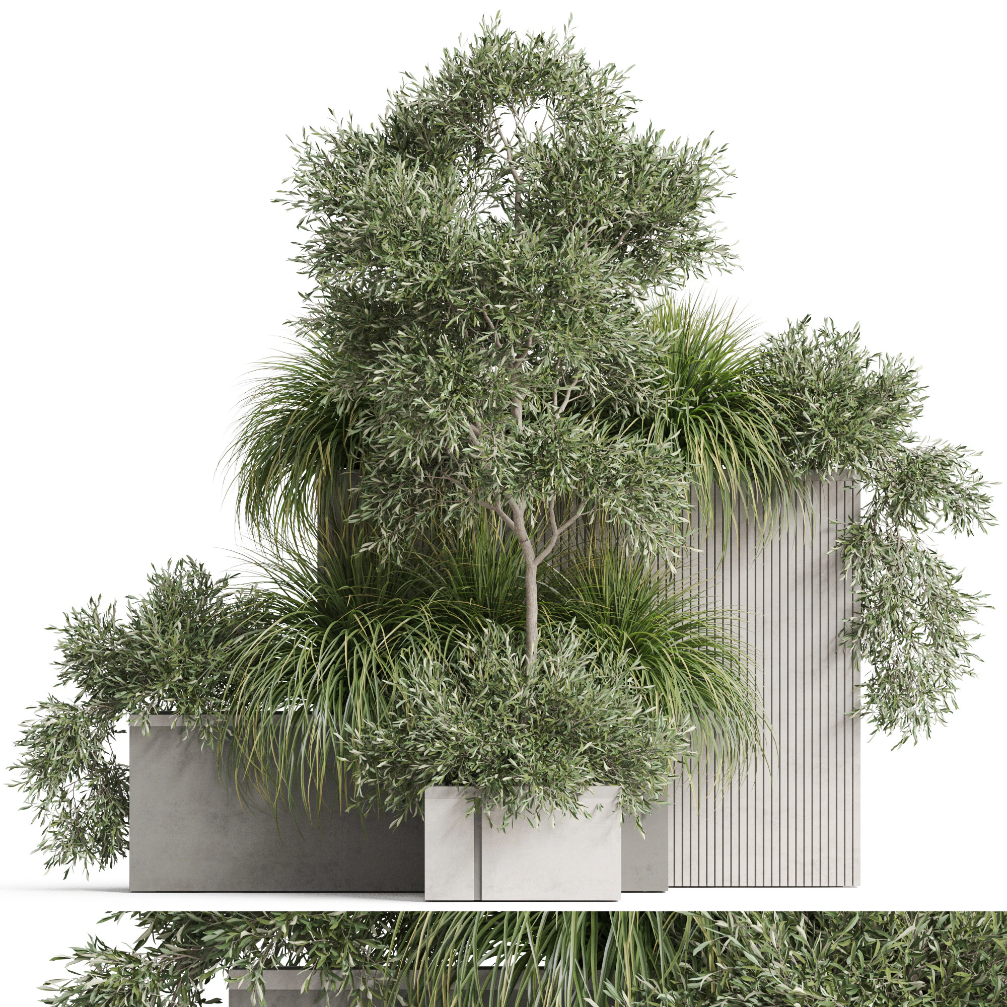 Plants collection 770 3D Model .c4d .max .obj .3ds .fbx .stl .blend 