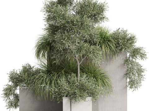 Plants collection 770 3D 모델