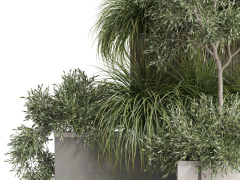 Plants collection 770 Modèle 3D