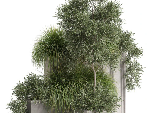 Plants collection 770 3D Model