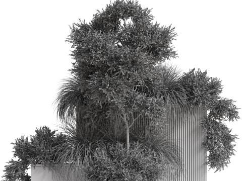 Plants collection 770 Modèle 3D