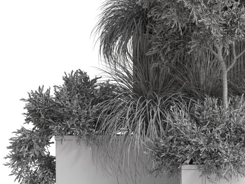 Plants collection 770 Modèle 3D
